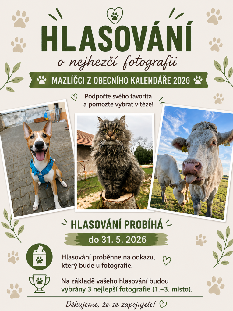 Hlasování